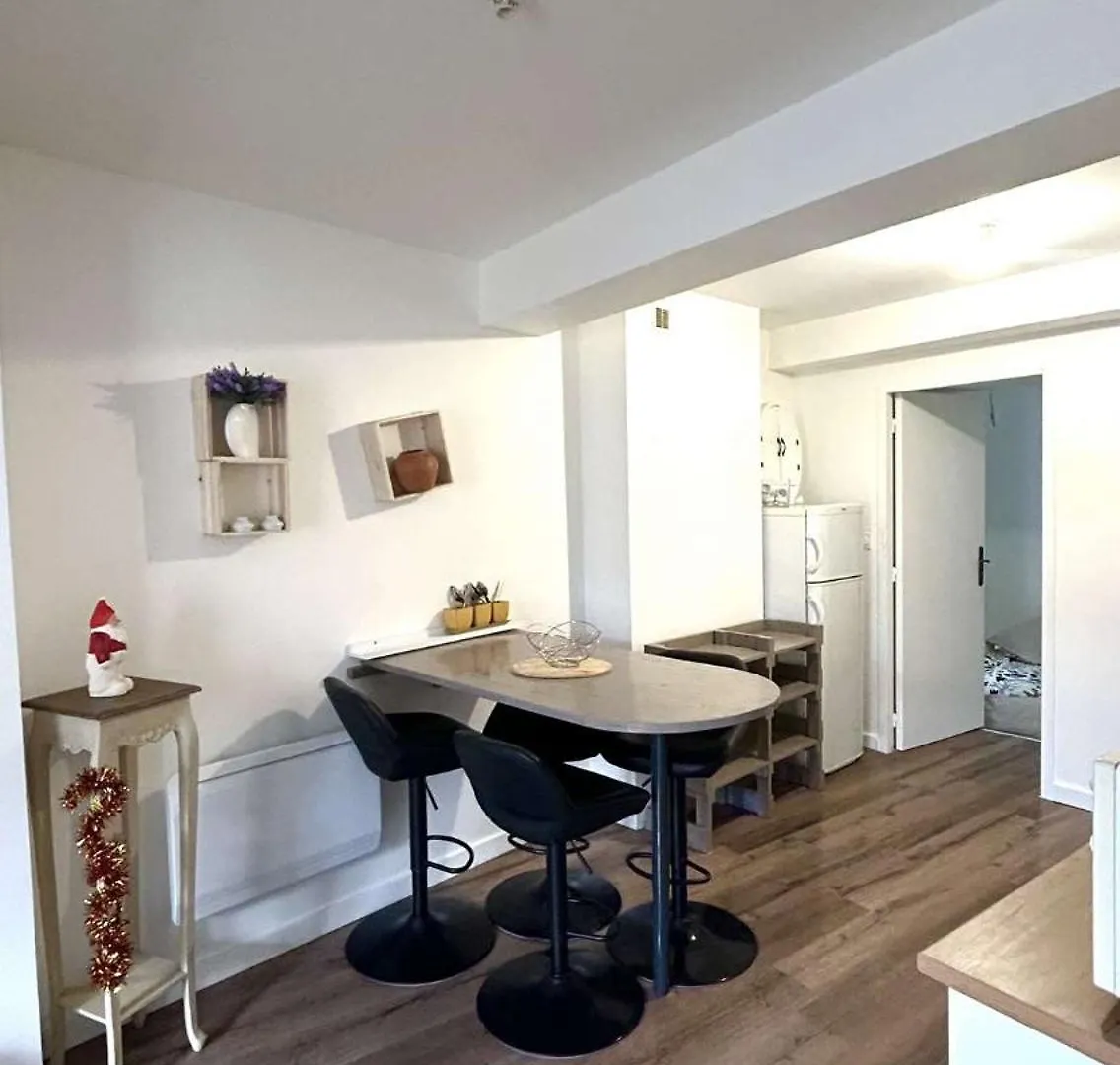 Le Plein Centre Apartment Montbrison